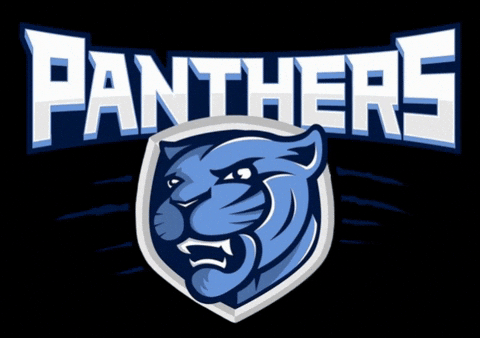 somersetpanthers giphyupload somerset academica somerset panthers GIF