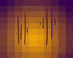 anger fighting GIF by Ross Norton
