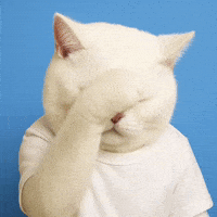 White Cat Facepalm GIF