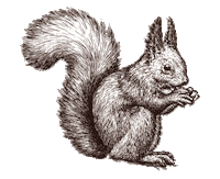 dasoachkatzl gmedia wilder kaiser ellmau oachkatzl Sticker