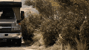GIF by Laundry Service