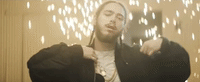 go flex GIF by Post Malone
