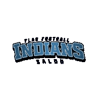 Futbol Americano Nfl Sticker by INDIANS FLAG FOOTBALL