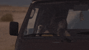 Happy Sabrina Carpenter GIF by FILMRISE