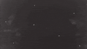 gabrielabran  GIF