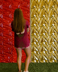 Elon Womens Lacrosse GIF by Elon Phoenix