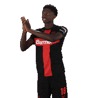 Bayer 04 Applause Sticker by Bayer 04 Leverkusen