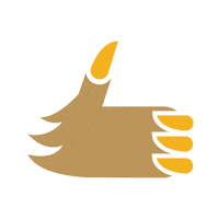 College Of William And Mary Thumbs Up Sticker by William & Mary