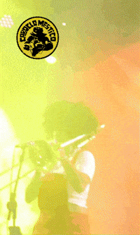 Coco Nordeste GIF by Caboclo Mestiço