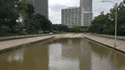 MFDtheArtist houston flood harvey GIF
