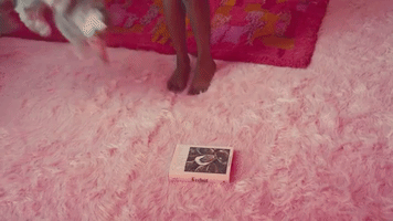 pynk GIF by Janelle Monáe