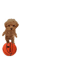 march madness dog Sticker by MISO PUP