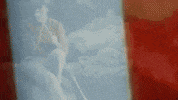 georgel music music video nature singer GIF