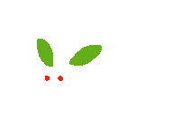 Snow Winter Sticker
