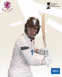 Ginger Cricketer GIF by Somerset County Cricket Club