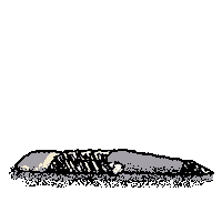 Tired Sleep Sticker