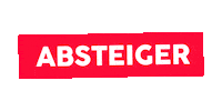 Sport Soccer Sticker by Linz News