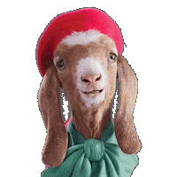 Christmas Sale Sticker by TK Maxx