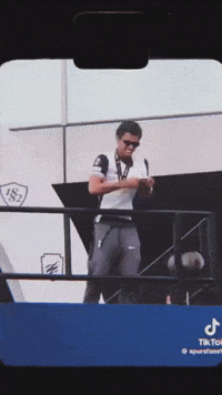 Tottenham Hotspur Spurs GIF