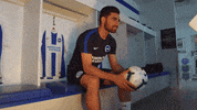 Soccer Futbol GIF by Brighton & Hove Albion Football Club