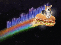 shooting star dog GIF by Nebraska Humane Society