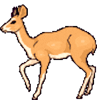 deer STICKER