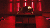 Happy Football GIF by Wisconsin Badgers