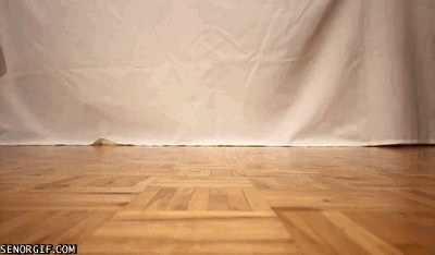 steampunk win GIF by Cheezburger