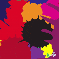 Day Rights GIF by ikeja