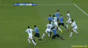 Costa Rica Soccer GIF by Fusion