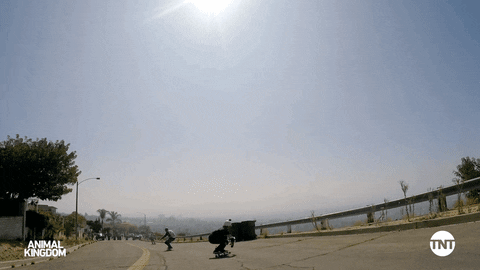 S5 Skateboard Crash GIF by Animal Kingdom on TNT