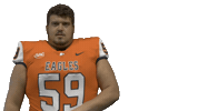 Seat Belt Sticker by Carson-Newman Athletics