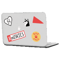 Nuexperience Sticker by Northeastern University