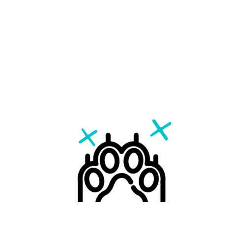 skydancepetlodge giphygifmaker Sticker