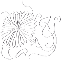 Flor Ornament Sticker by Bona Eva