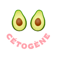 cetococotte keto low carb ketogenic lchf Sticker