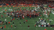 Syracuse University Su GIF by TheDreamTeam 