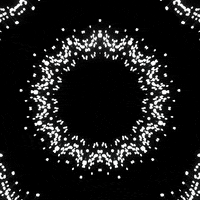 Art Celebrate GIF by Orla in Berlin