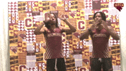 Cuc GIF by CUCougars