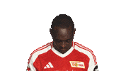 Look Up Union Berlin Sticker by Bundesliga