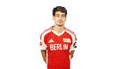 Union Berlin No Sticker by Bundesliga