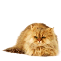 mmb monetakocour Sticker by MonetaMoneyBank