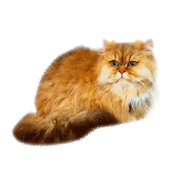 mmb monetakocour Sticker by MonetaMoneyBank