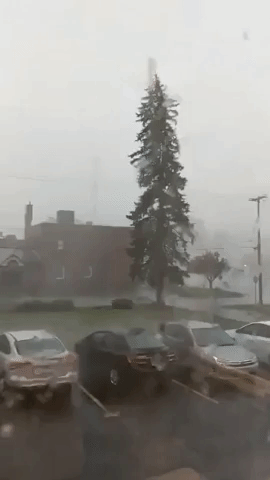 Parked Cars Narrowly Escape as Ohio Storm Topples Tree in Boardman