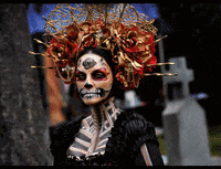 GIF by Univision Noticias