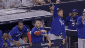 Celebrate Blue Jays GIF by Toronto Blue Jays