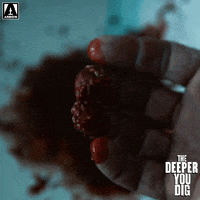 John Adams Blood GIF by Arrow Video