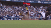 Sliding San Diego Padres GIF by MLB