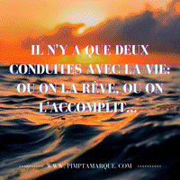 Canada Vie GIF by PIMP TA MARQUE