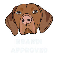 Brandi Gsp Sticker